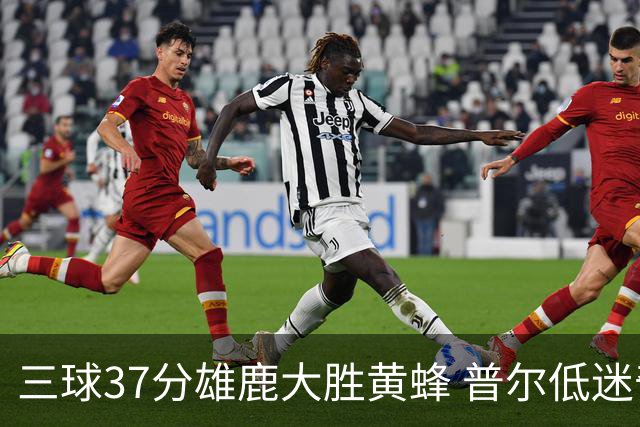 三球37分雄鹿大胜黄蜂 普尔低迷奇才负尼克斯