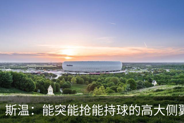 斯温：能突能抢能持球的高大侧翼 或是首轮末捡漏最佳选择？
